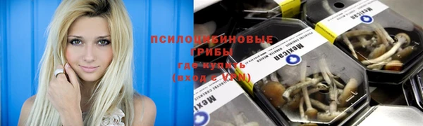 mix Гусев