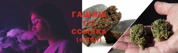 тгк Гусь-Хрустальный
