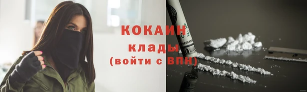 тгк Гусь-Хрустальный