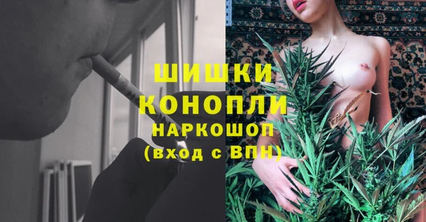 тгк Гусь-Хрустальный