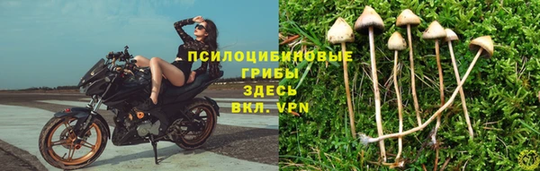 jwh Гусиноозёрск