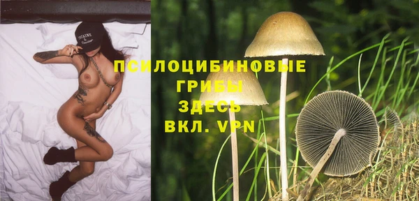 mix Гусев