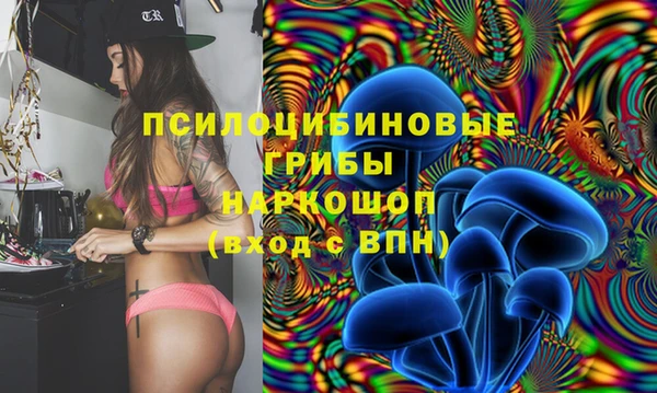 тгк Гусь-Хрустальный
